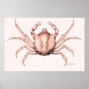 Search for sea kelp art Vintage