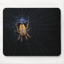 Recherche de araignée tapis souris Animaux