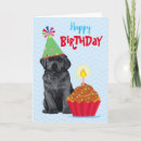 Search for black dog birthday cake Labrador retriever