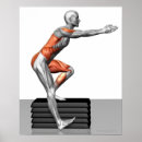 Recherche de muscle humain posters Médical
