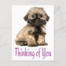 Search for thinks postcards Dog