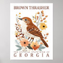 Search for thrasher posters Vintage