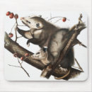 Search for possums mousepads Vintage