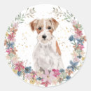 Search for jack russell stickers Watercolor