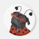 Search for ladybug magnets Love bug