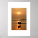 Recherche de divers art Plage