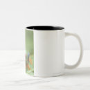 Search for red eyed tree frog mugs Cold blooded