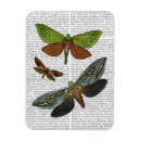 Recherche de papillons magnets Feuille de fleur