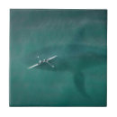Search for whale tiles Boat