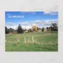 Recherche de savane cartes postales Paysage