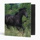 Search for thoroughbred binders Moving