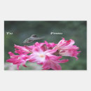 Search for lily rectangle stickers Flowers