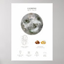 Search for gemini astrology sign posters Constellation
