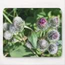 Search for spider webs mousepads Green
