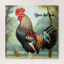 Recherche de rooster puzzles Volaille