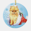 Recherche de spitz ornements Pomeranian