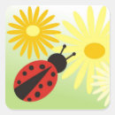 Search for ladybird stickers Insect
