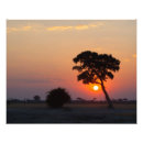 Search for african sunrise art Orange