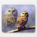 Search for owl images electronics Animals