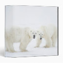 Search for bond binders Togetherness