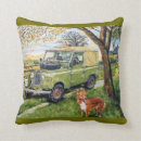 Recherche de land rover Terre