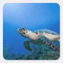 Search for cayman stickers Caribbean