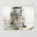 Search for would postcards Cute