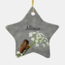 Search for hummingbird ornaments Garden