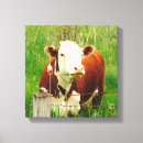 Search for dairy cow canvas prints Cows