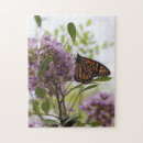 Search for monarch butterfly puzzles Nature