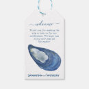 Search for mussel shell Coastal