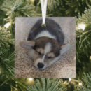 Recherche de pembroke welsh corgi ornaments Chiot