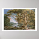 Search for beech posters Tree