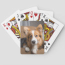 Search for corgi playing cards Queen's dog