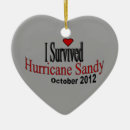 Search for hurricane ornaments Sandy
