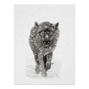 Search for black wolf posters Wildlife