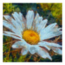 Recherche de marguerite posters Floral