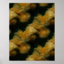 Search for yellow rose art Floral