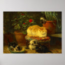 Recherche de duvet posters Drôle