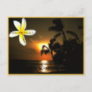 Search for aloha from hawaii postcards Maui