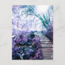 Search for enchanting postcards Enchanted