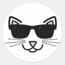 Search for cat with sunglasses stickers Kitty