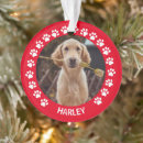 Search for cat in frame ornaments Cute