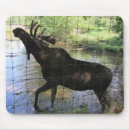 Search for moose mousepads Hunting