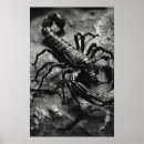 Search for scorpion posters Nature