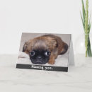 Search for sad miss you puppy postcards Pet