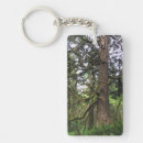 Search for cannon keychains Coast