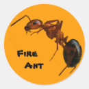Search for ant stickers Bug