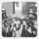 Search for reap stickers Black and white