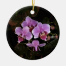Search for orchid ornaments flower